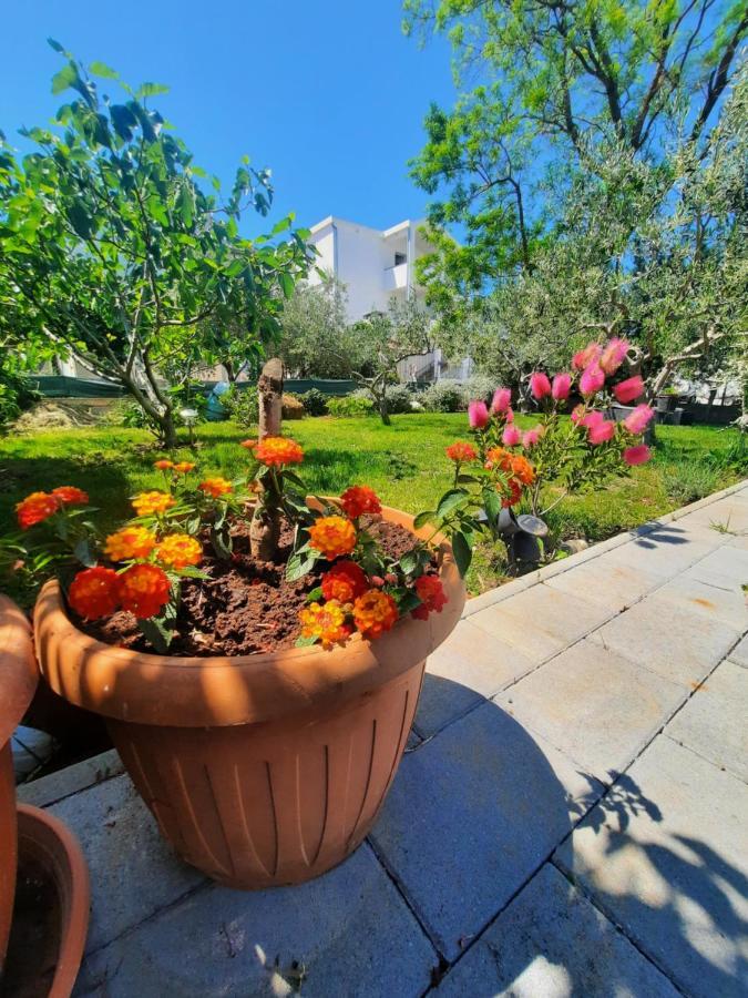 Apartment Noa'S Garden Bibinje Bagian luar foto